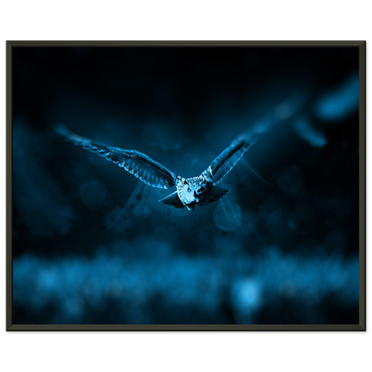 441e6183-f288-4095-a62d-2e5d1d5c731a