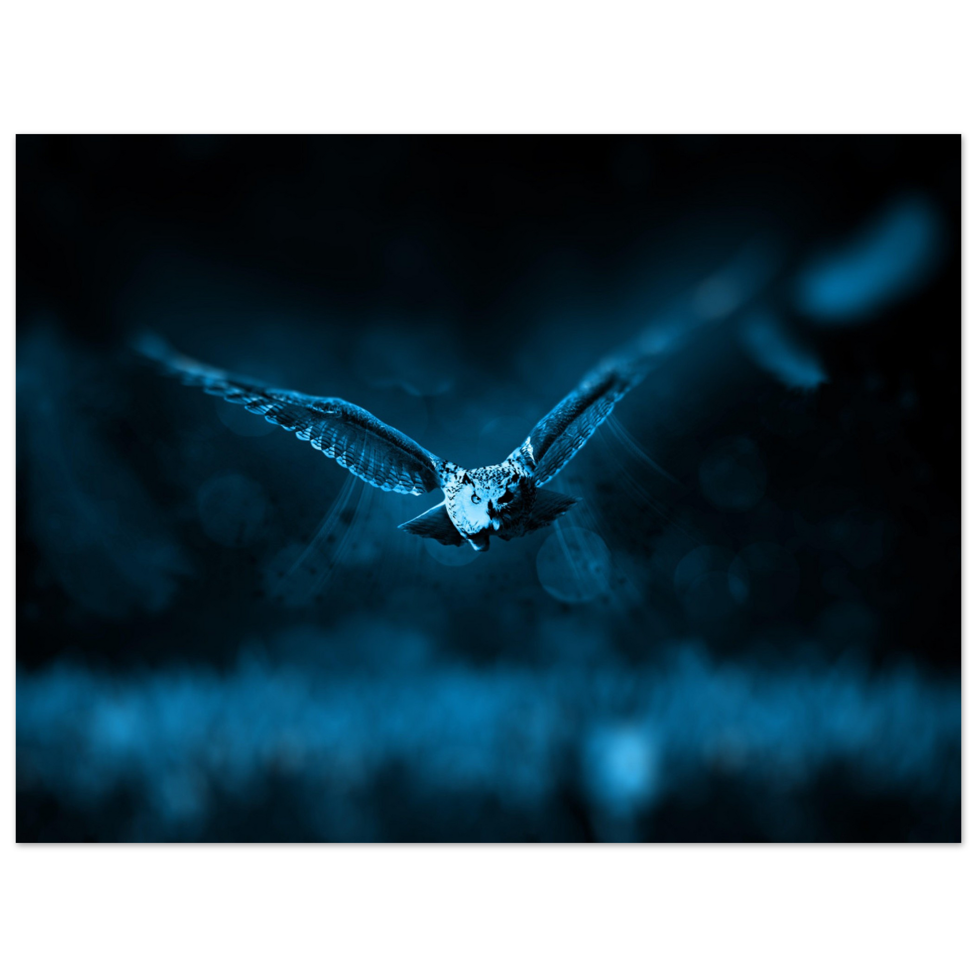 635acd53-65b4-48c1-a979-ce295b1f99ba