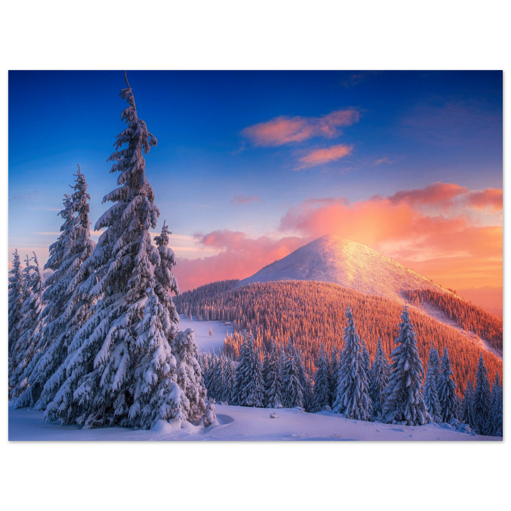 66a9ff55-92c0-415d-8b12-1c9627dfc241