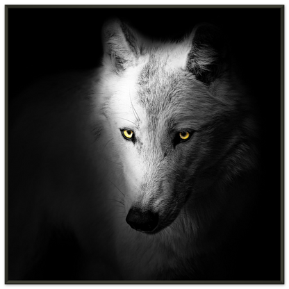 68cbdc6f-c2c7-40be-9691-40118873b370