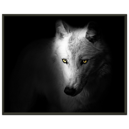 74eeb888-72f2-4dfe-96f4-892998bc61bc