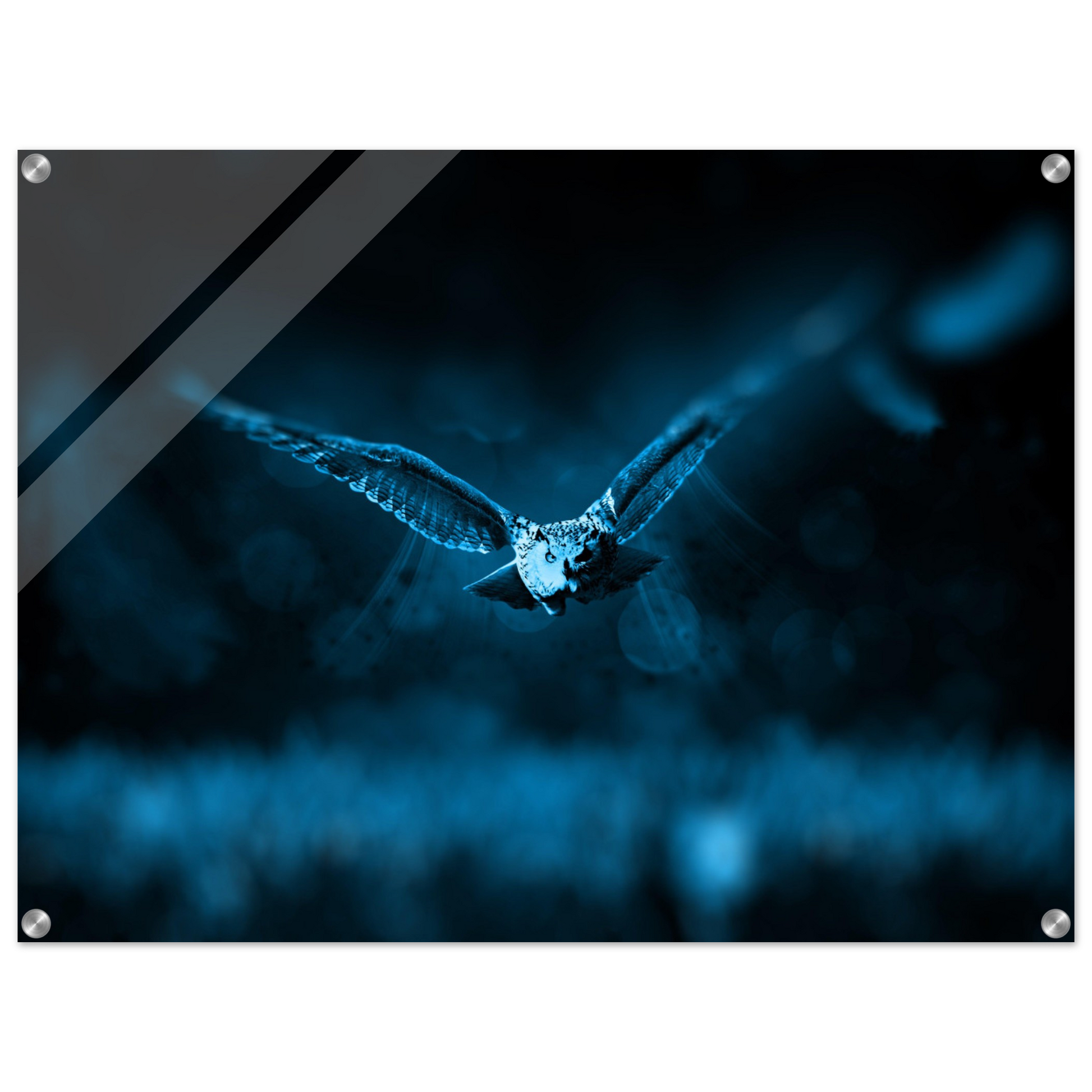 7b924744-dd60-4f18-bb6c-ba8d6cb01f0f