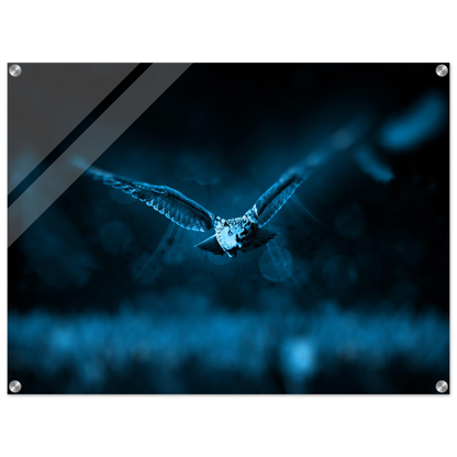 7b924744-dd60-4f18-bb6c-ba8d6cb01f0f