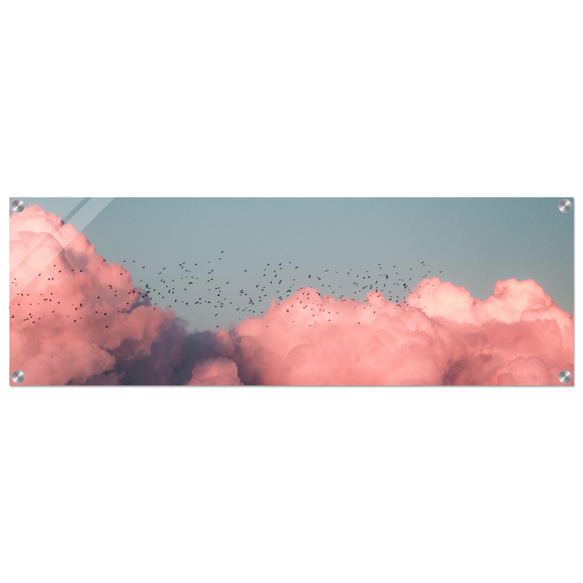 8d1ea656-6969-43f3-be19-23b02a4c0fd4