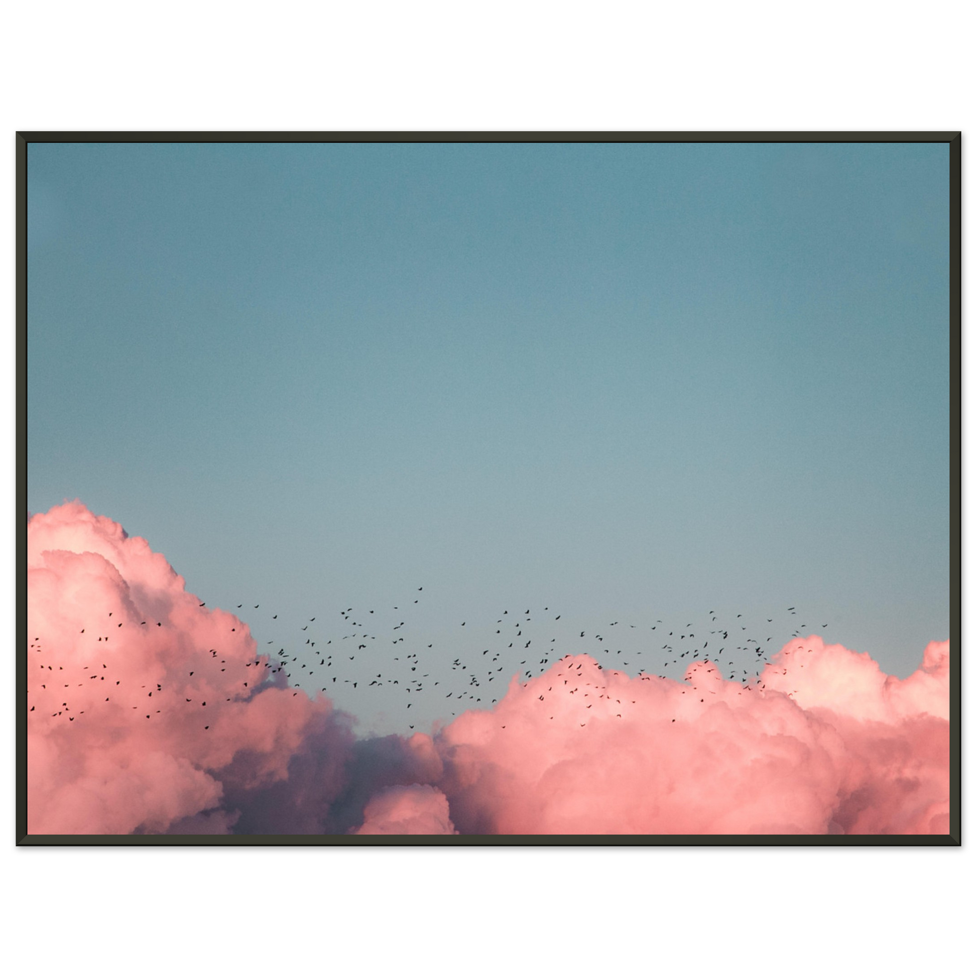 9030c710-5fcf-457e-bbe9-787c13c020ea