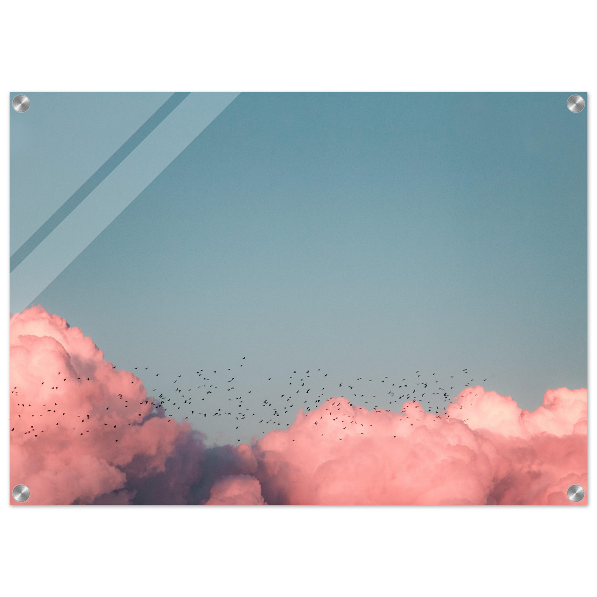 9fbcaf45-0869-486c-a502-4bc9e82d11c1