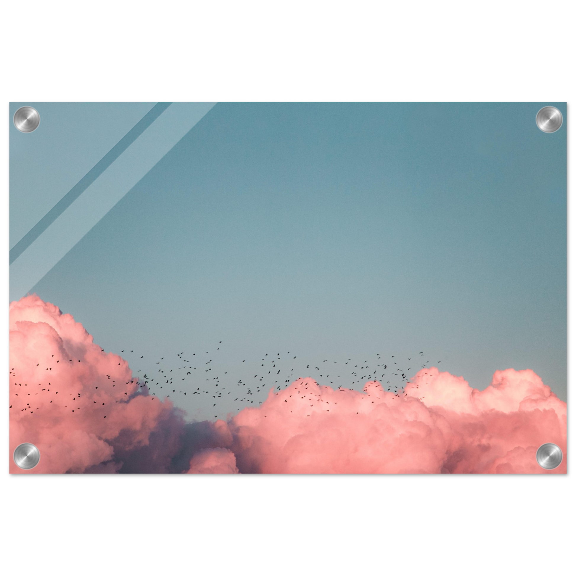 a0fef699-1c98-4d11-9b6b-a0d9d75bb3b3