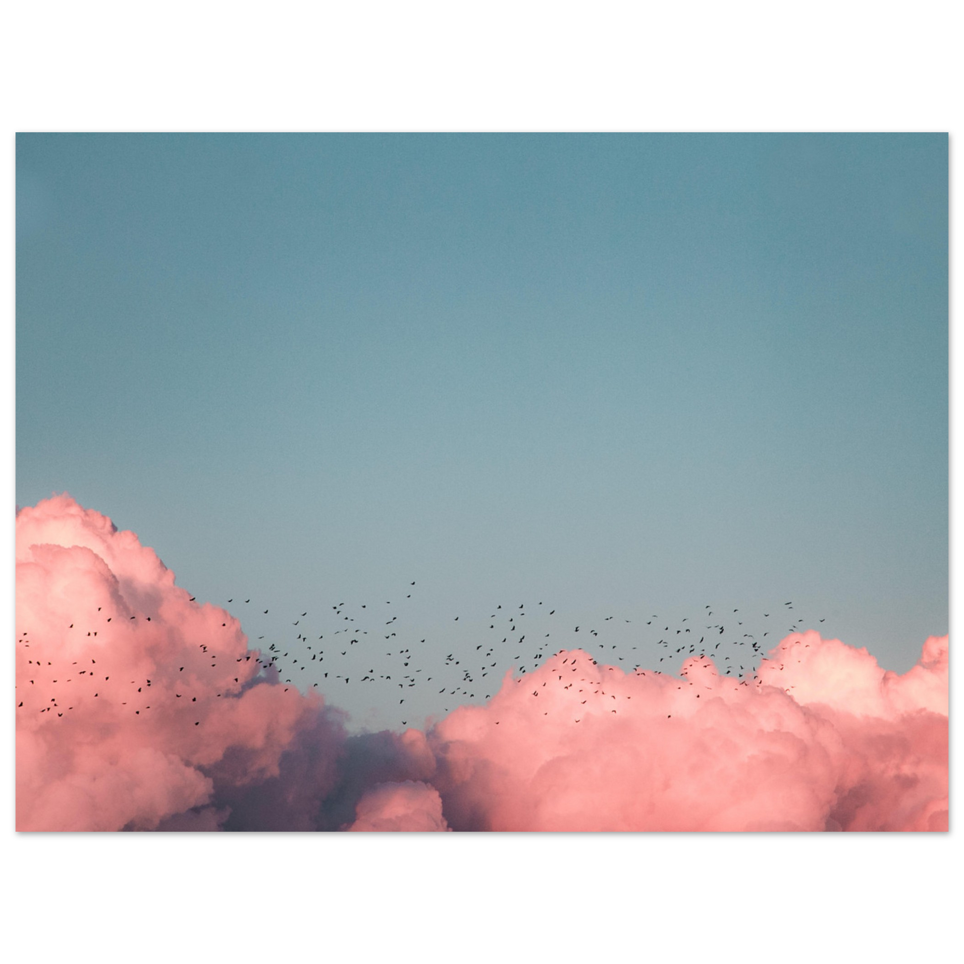 a7b6d587-0059-43a3-9e86-3119e663fccf