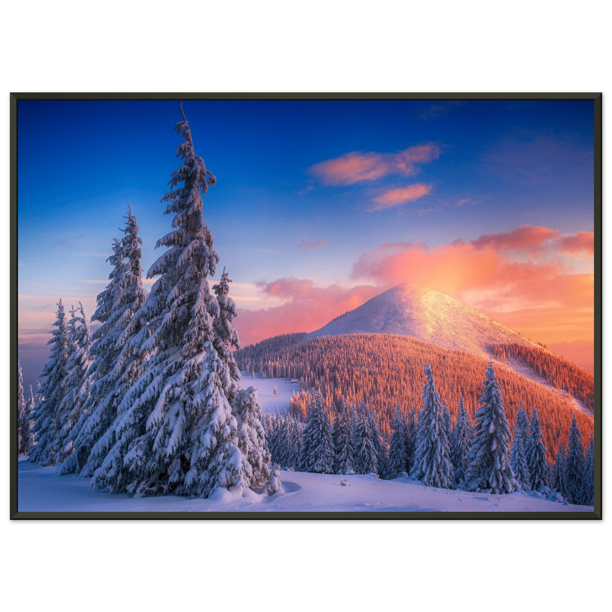 a82c5228-8270-4a84-b224-e900fa9deade
