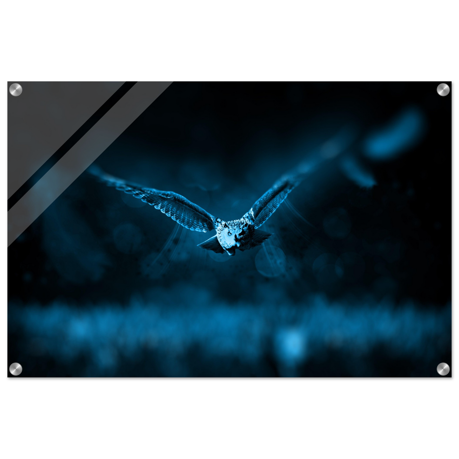 b06e4feb-0bfb-4380-af55-d819ffd07bee