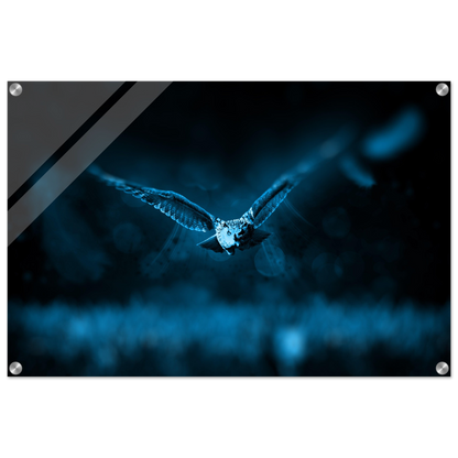 b06e4feb-0bfb-4380-af55-d819ffd07bee