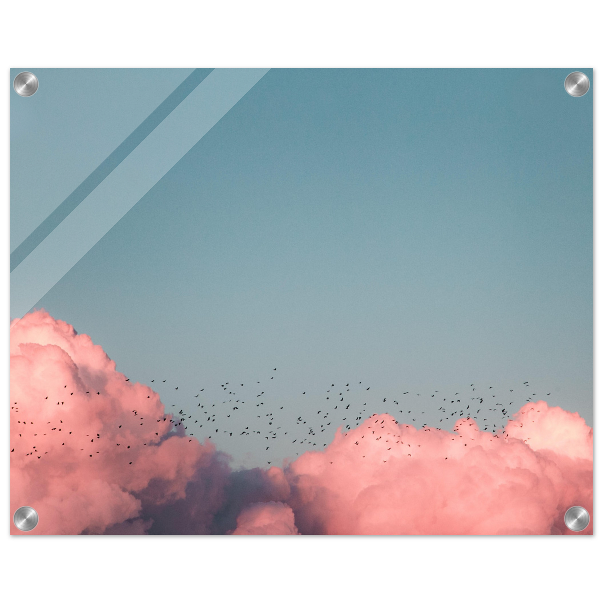 b0a0e347-080c-4e7a-9fe8-a87003890cf4