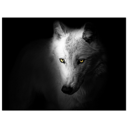 b0bf231f-c933-4e41-a48e-f601e2451419