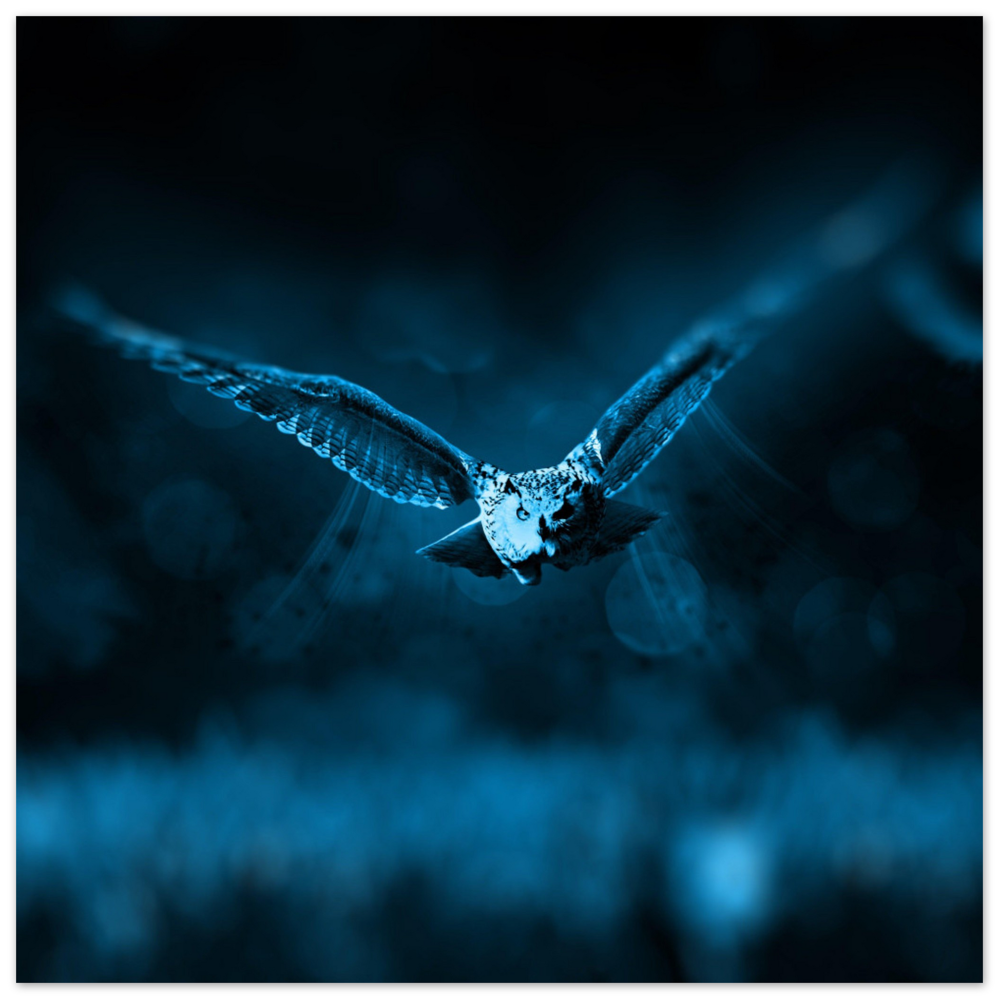 b3da1761-f888-42d0-bc20-fe1b15626909