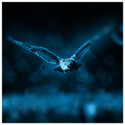 b3da1761-f888-42d0-bc20-fe1b15626909