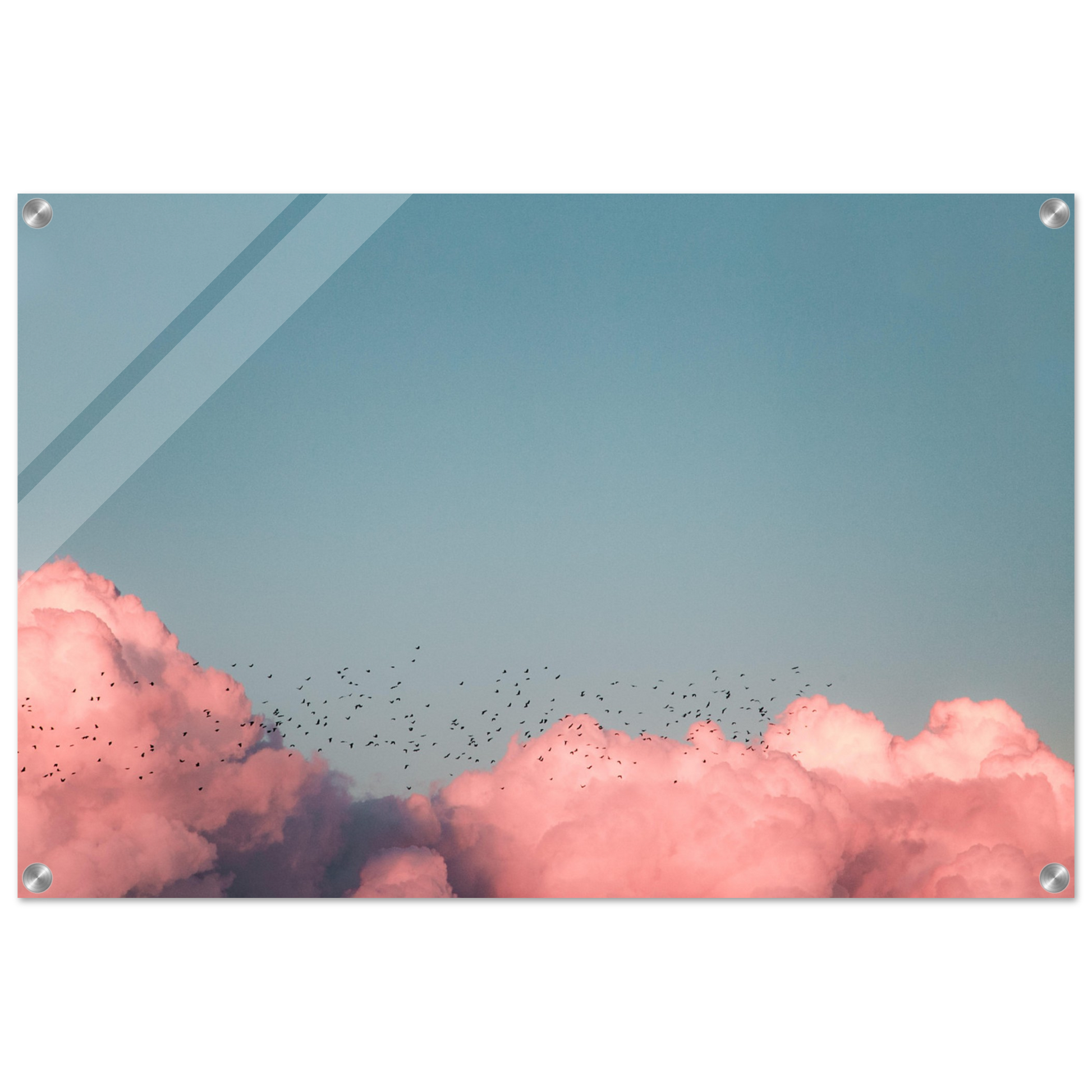 b49bccc8-e893-4a2e-af30-100b1b3d20c9