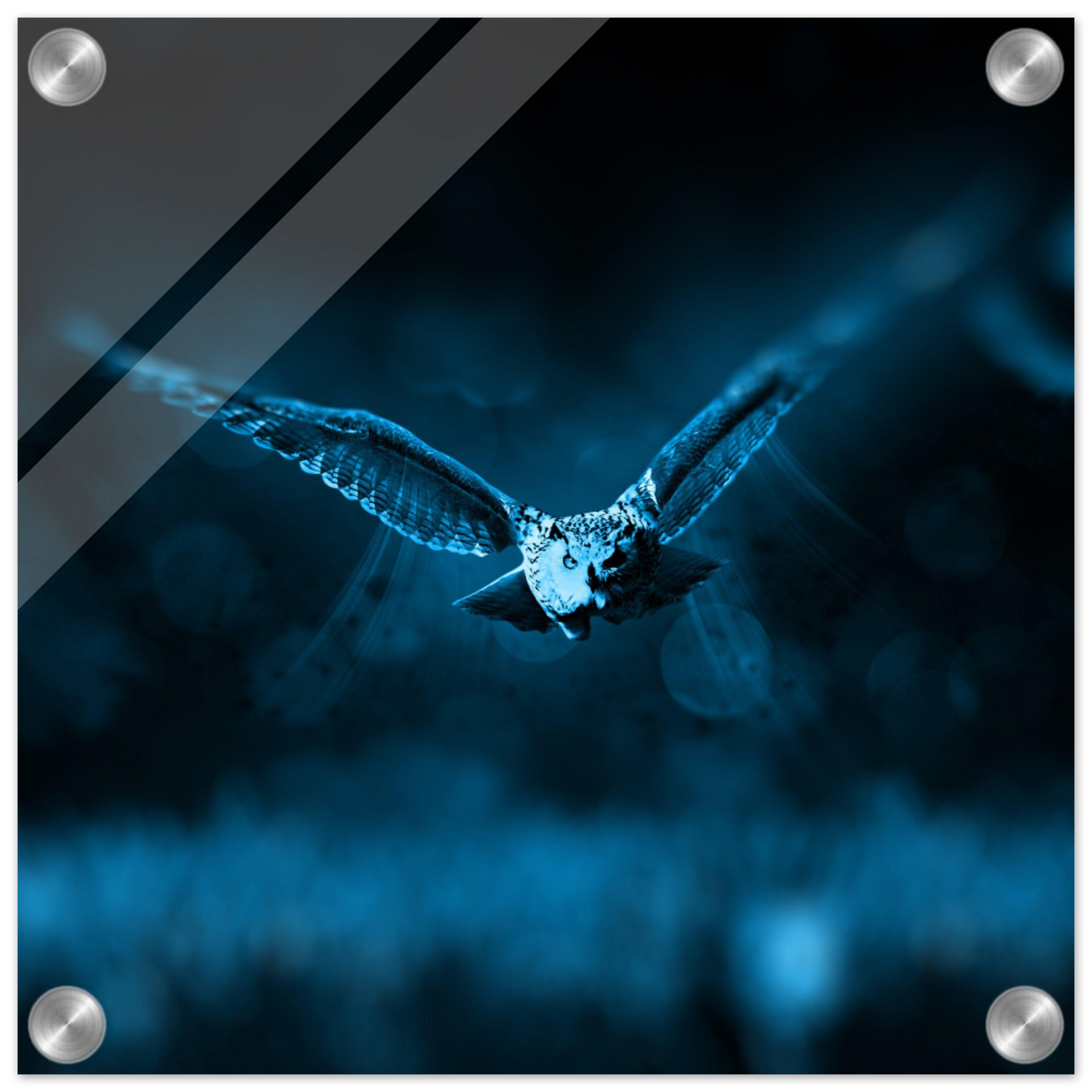 d139c0eb-0645-41d7-8ae4-fae96eaaec4c