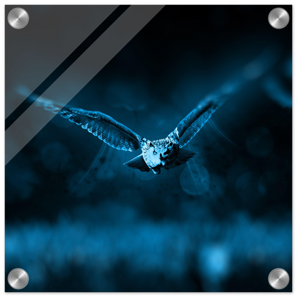 d139c0eb-0645-41d7-8ae4-fae96eaaec4c