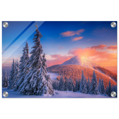 d2bf8d76-891b-4092-90e6-662ce0f904ed