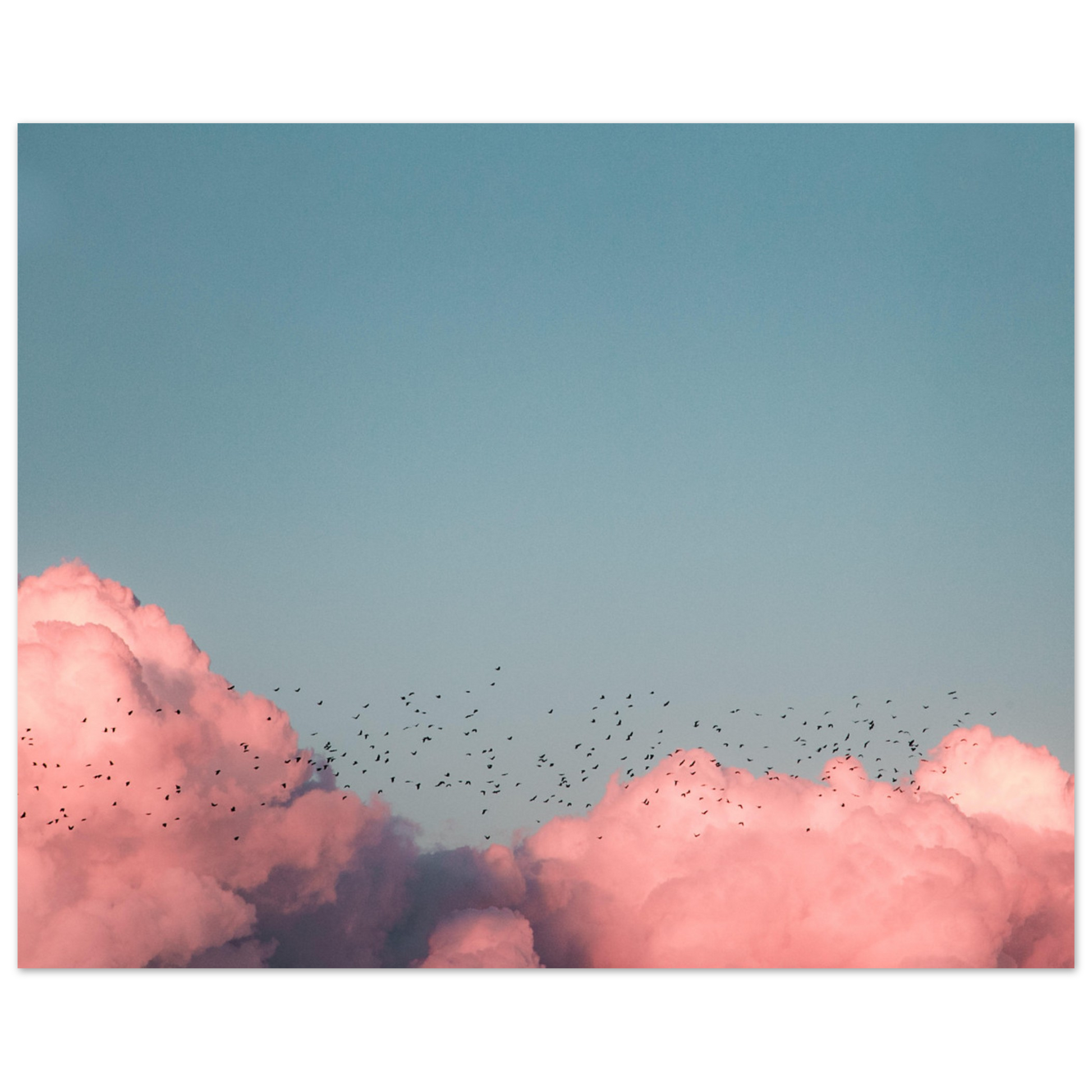 d468f8d4-e04c-4d91-81af-dcbb82cf8e55