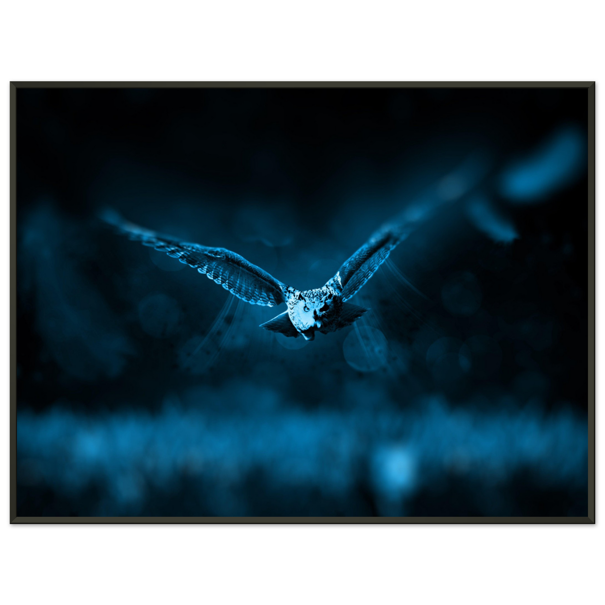 d8386c2f-c8c5-4eeb-b913-e36bd4d60bd4