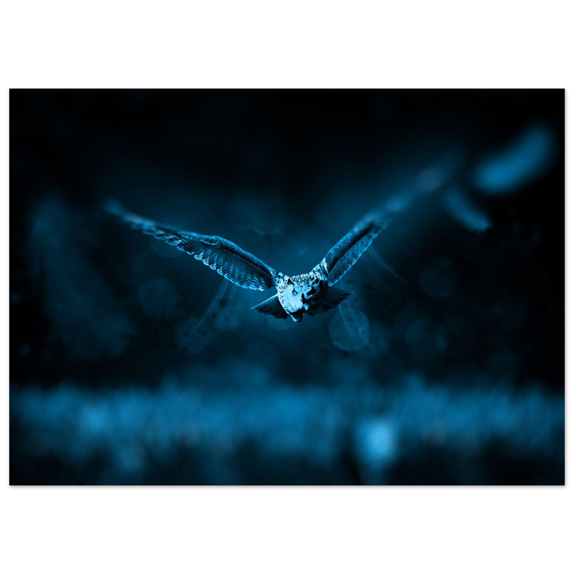 e7c63599-1ba0-43d8-aa55-e67b2256697e