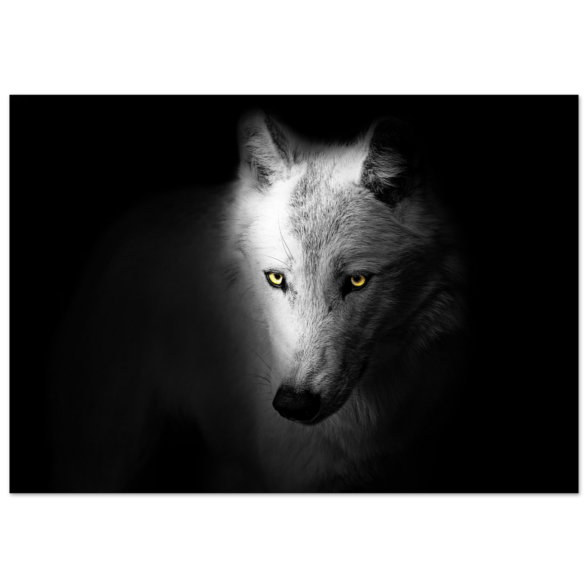 f425a716-fc88-41ce-8962-9e4e5b818705