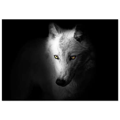 f425a716-fc88-41ce-8962-9e4e5b818705